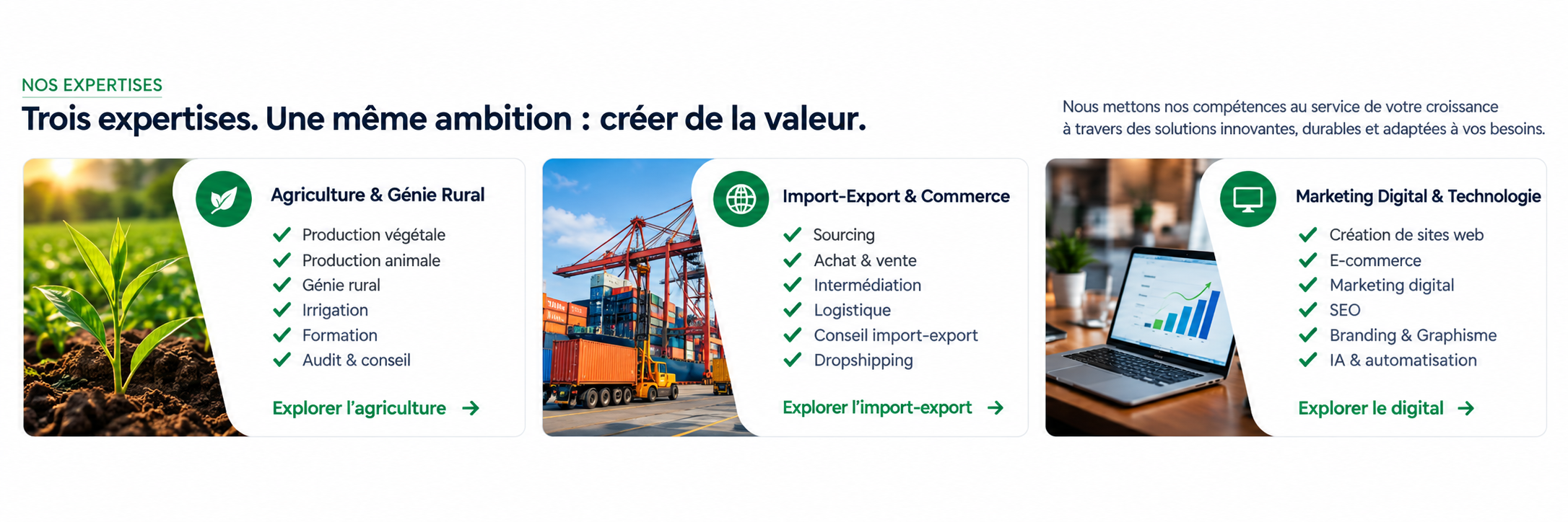 Trois expertises. Une même ambition : créer de la valeur.